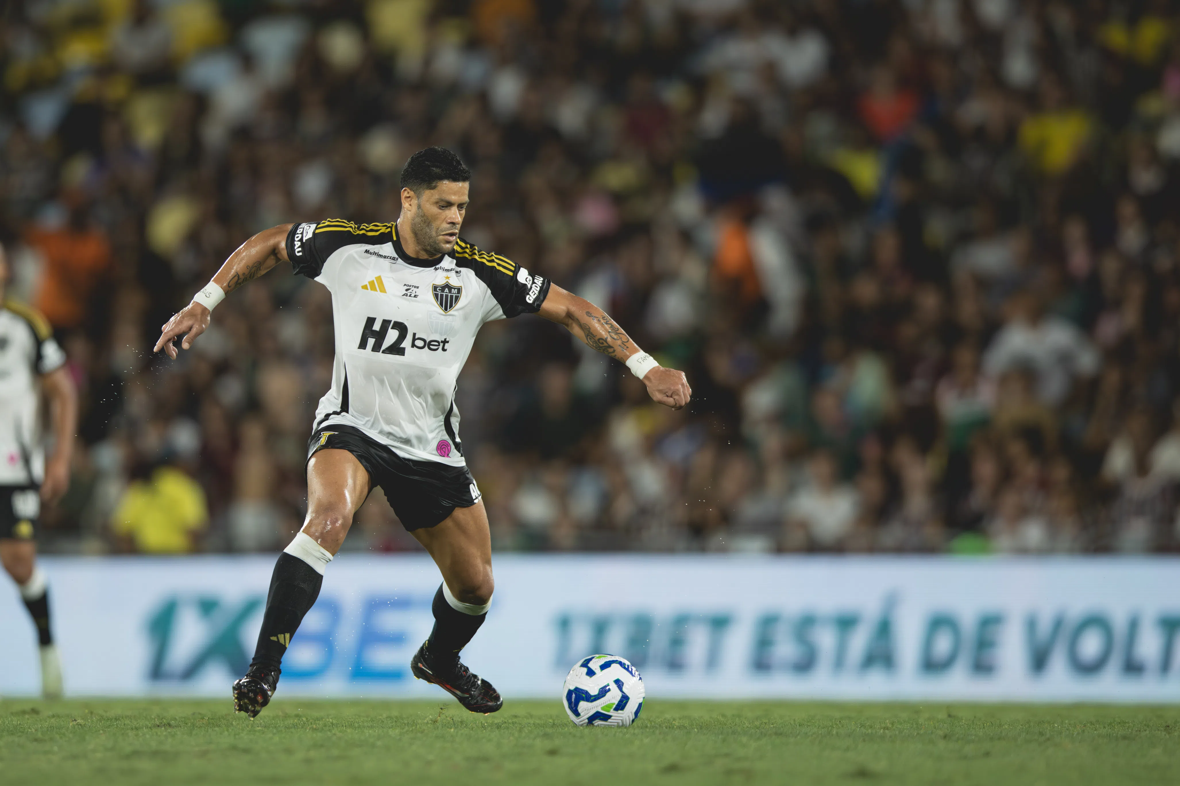 Onde assistir Atlético-MG x Sport ao vivo hoje (08): Saiba horário, escalações e transmissão do Brasileirão