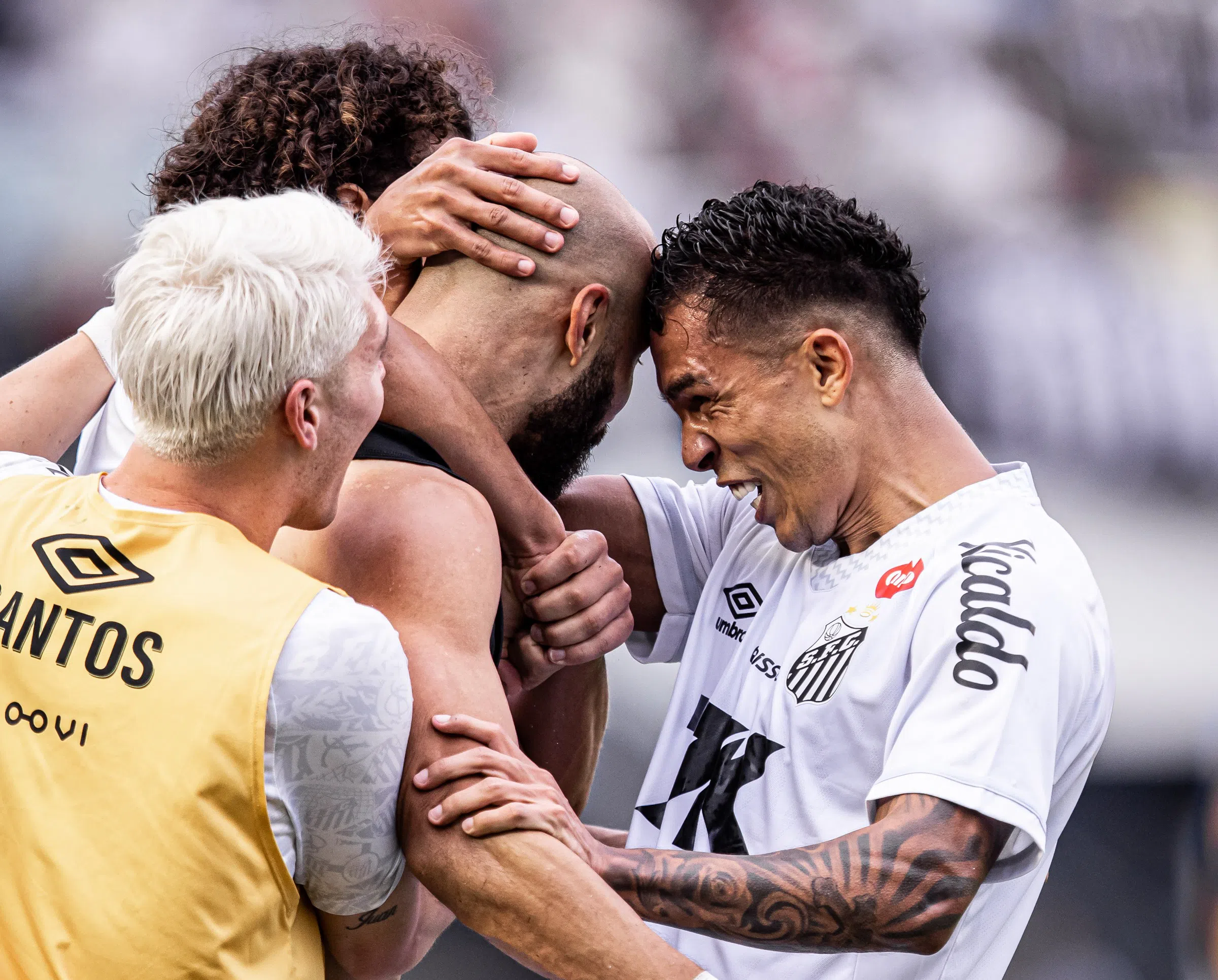 Transmissão Santos x Novorizontino hoje (10) ao vivo: Saiba horário, escalações e onde assistir o jogo do Paulistão