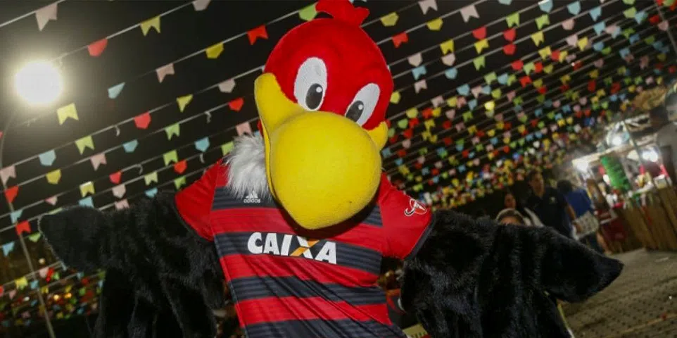 Do Insulto à Ícone: A História Incrível do Urubu como Mascote do Flamengo