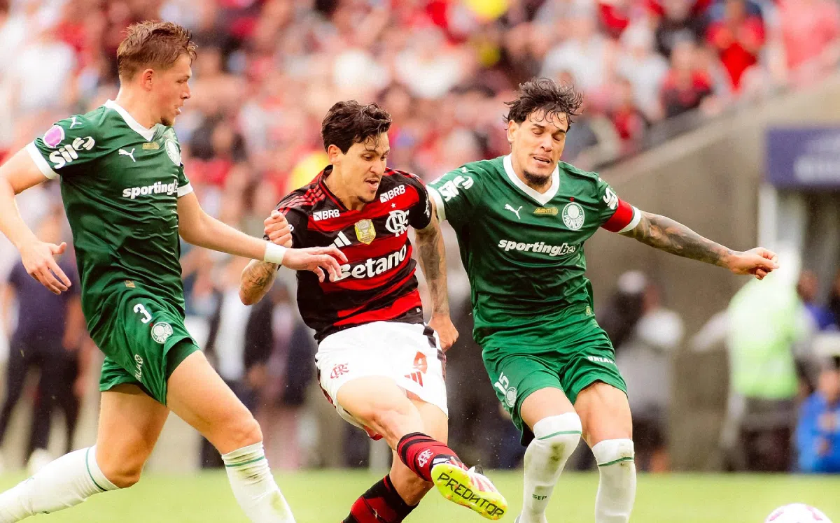 Flamengo x Palmeiras: CBF rebate críticas à arbitragem de Wilton Pereira Sampaio