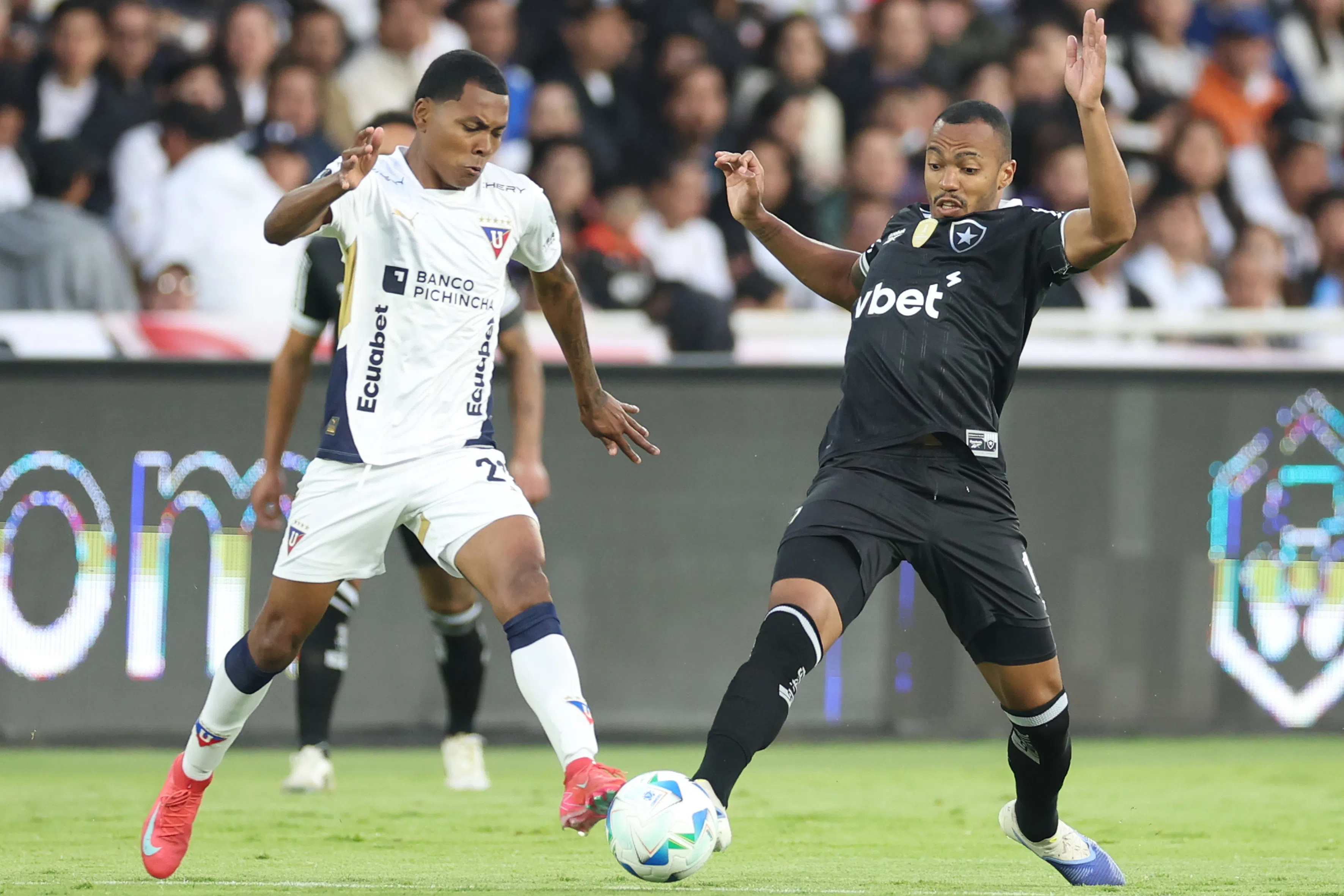 Botafogo não suporta a altitude em Quito, perde para a LDU e dá adeus ao sonho do bicampeonato da Libertadores; saiba como foi a partida