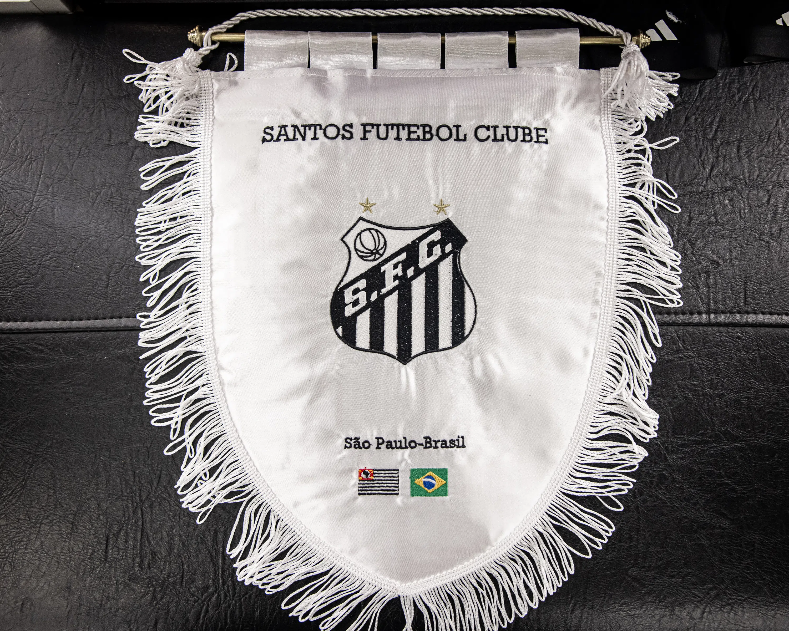 Escudo do Santos: Evolução do símbolo do peixe ao longo dos anos